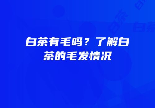 白茶有毛吗？了解白茶的毛发情况