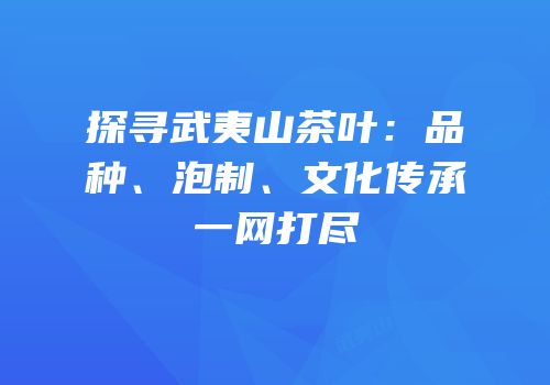 探寻武夷山茶叶：品种、泡制、文化传承一网打尽