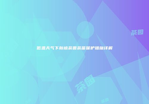 低温天气下新植茶园茶苗保护措施详解