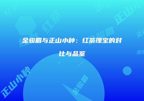 金骏眉与正山小种：红茶瑰宝的对比与品鉴