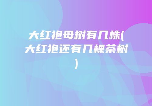 大红袍母树有几株(大红袍还有几棵茶树)