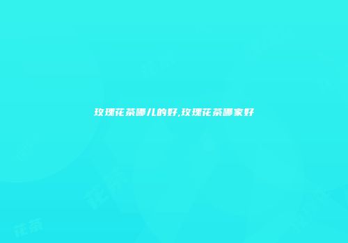 玫瑰花茶哪儿的好,玫瑰花茶哪家好