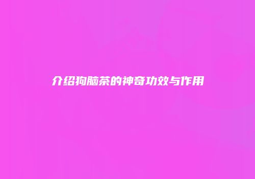 介绍狗脑茶的神奇功效与作用