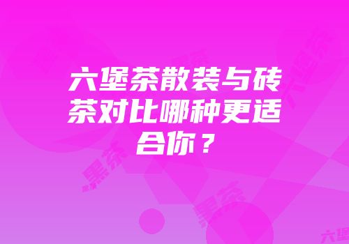 六堡茶散装与砖茶对比哪种更适合你？