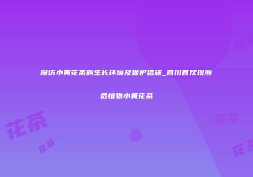 探访小黄花茶的生长环境及保护措施_四川首次现濒危植物小黄花茶
