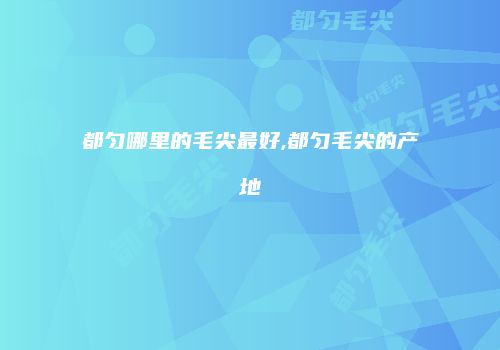 都匀哪里的毛尖最好,都匀毛尖的产地