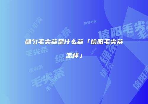 都匀毛尖茶是什么茶「信阳毛尖茶怎样」