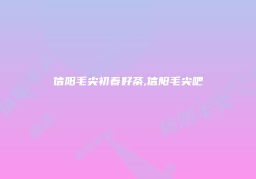 信阳毛尖初春好茶,信阳毛尖吧