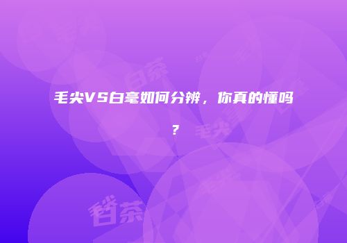 毛尖VS白毫如何分辨，你真的懂吗？