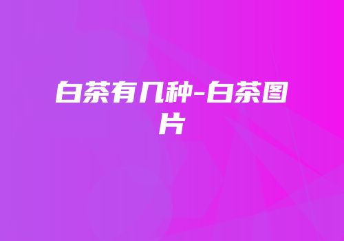 白茶有几种-白茶图片