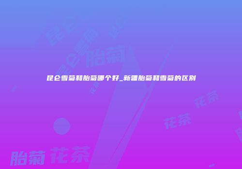 昆仑雪菊和胎菊哪个好_新疆胎菊和雪菊的区别