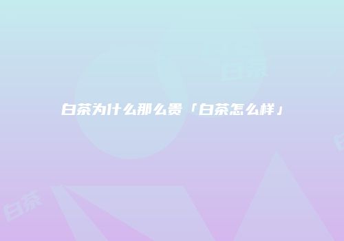 白茶为什么那么贵「白茶怎么样」
