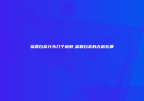 福鼎白茶分为几个树种,福鼎白茶的古树在哪
