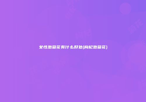 女性泡菊花有什么好处(枸杞泡菊花)