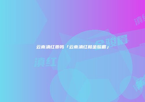云南滇红贵吗「云南滇红和金骏眉」