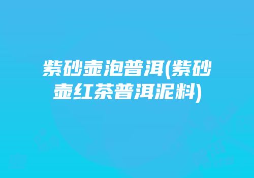 紫砂壶泡普洱(紫砂壶红茶普洱泥料)