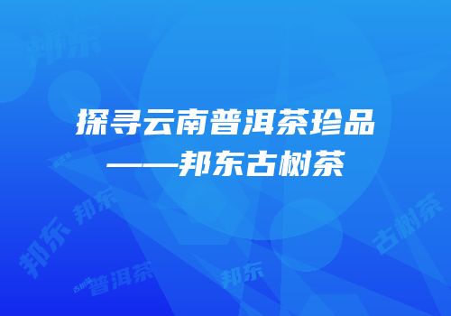 探寻云南普洱茶珍品——邦东古树茶
