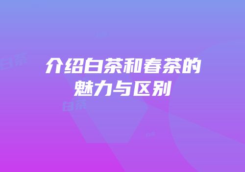 介绍白茶和春茶的魅力与区别