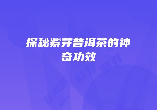 探秘紫芽普洱茶的神奇功效