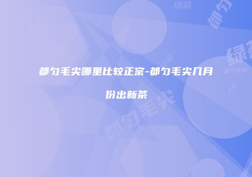 都匀毛尖哪里比较正宗-都匀毛尖几月份出新茶