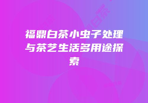 福鼎白茶小虫子处理与茶艺生活多用途探索