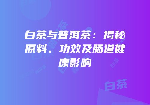 白茶与普洱茶：揭秘原料、功效及肠道健康影响