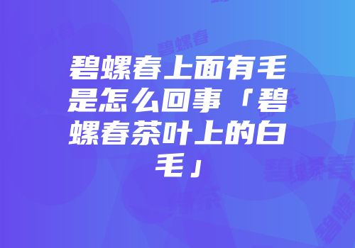 碧螺春上面有毛是怎么回事「碧螺春茶叶上的白毛」