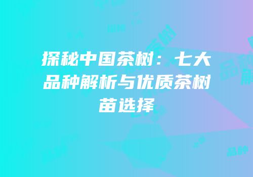 探秘中国茶树：七大品种解析与优质茶树苗选择