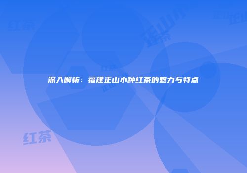 深入解析：福建正山小种红茶的魅力与特点