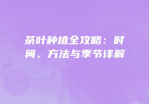 茶叶种植全攻略：时间、方法与季节详解