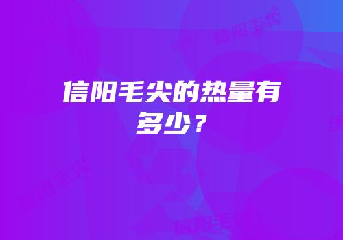 信阳毛尖的热量有多少？