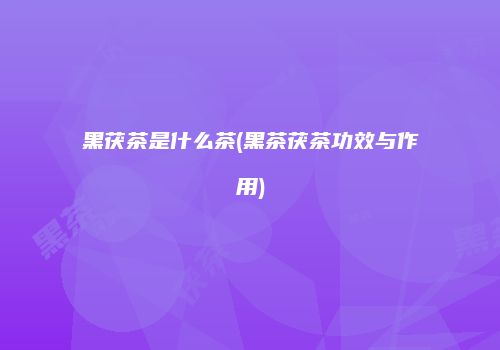 黑茯茶是什么茶(黑茶茯茶功效与作用)