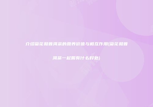 介绍菊花和普洱茶的营养价值与相互作用(菊花和普洱茶一起喝有什么好处)