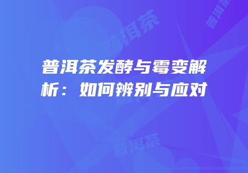 普洱茶发酵与霉变解析：如何辨别与应对