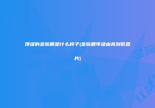 顶级的金骏眉是什么样子(金骏眉等级由高到低图片)