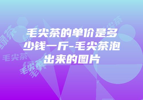 毛尖茶的单价是多少钱一斤-毛尖茶泡出来的图片