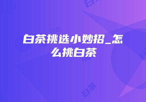 白茶挑选小妙招_怎么挑白茶
