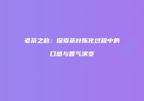 老茶之韵：探索茶叶陈化过程中的口感与香气演变