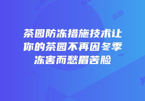 茶园防冻措施技术让你的茶园不再因冬季冻害而愁眉苦脸