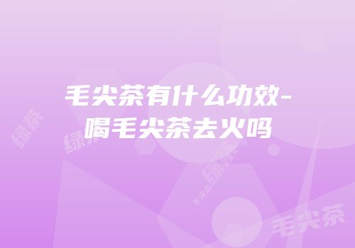 毛尖茶有什么功效-喝毛尖茶去火吗