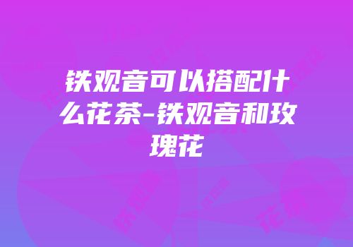 铁观音可以搭配什么花茶-铁观音和玫瑰花