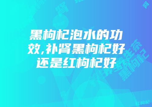 黑枸杞泡水的功效,补肾黑枸杞好还是红枸杞好