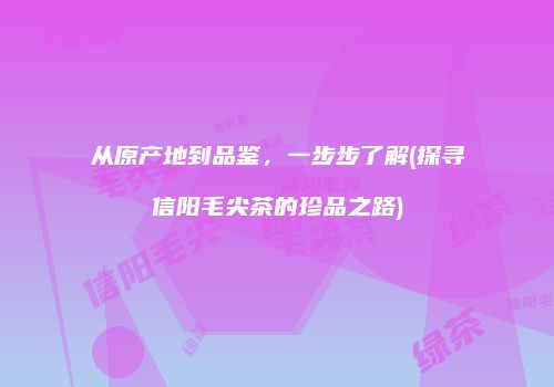 从原产地到品鉴，一步步了解(探寻信阳毛尖茶的珍品之路)