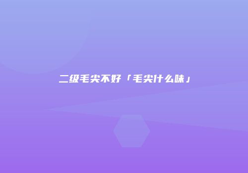 二级毛尖不好「毛尖什么味」