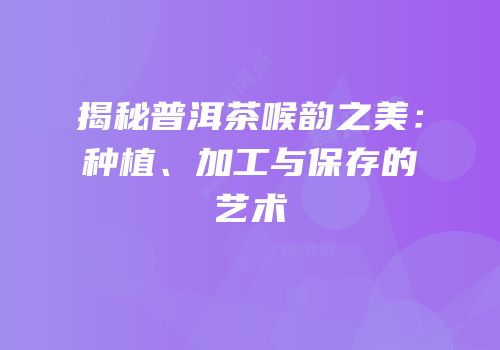 揭秘普洱茶喉韵之美：种植、加工与保存的艺术