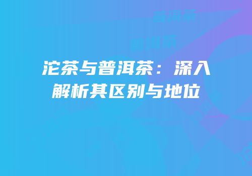 沱茶与普洱茶：深入解析其区别与地位