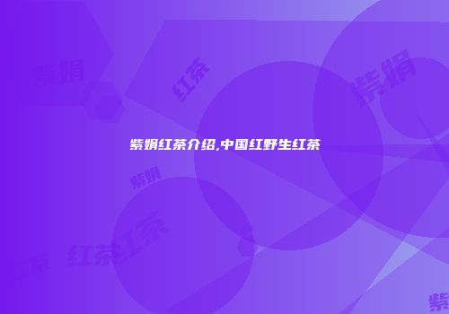 紫娟红茶介绍,中国红野生红茶