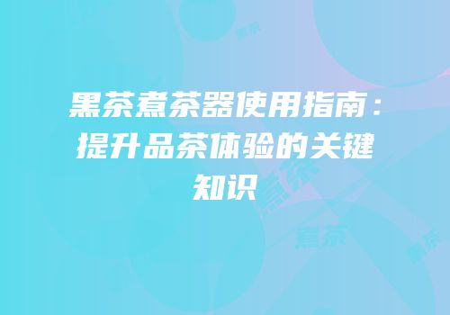 黑茶煮茶器使用指南：提升品茶体验的关键知识
