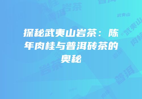 探秘武夷山岩茶：陈年肉桂与普洱砖茶的奥秘