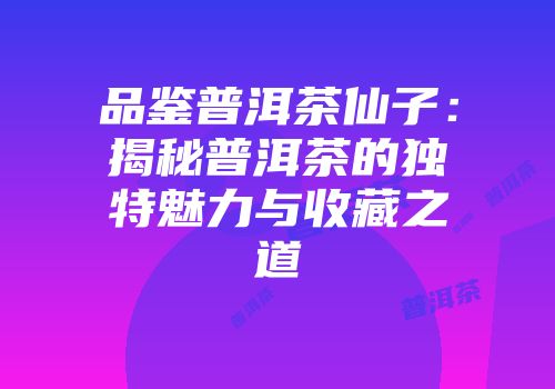 品鉴普洱茶仙子：揭秘普洱茶的独特魅力与收藏之道